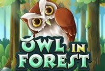 Owl In Forest slot